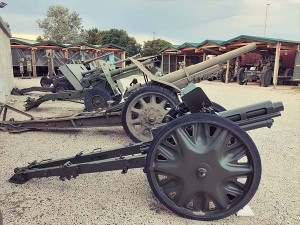 Vista di alcuni pezzi di artiglieria del Regno d'Italia esposti nel parco